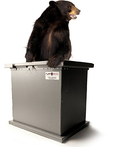 Bruin Tuffboxx
